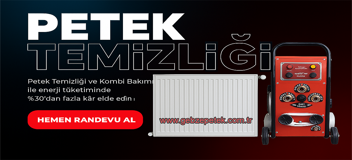 gebze petek temizleme